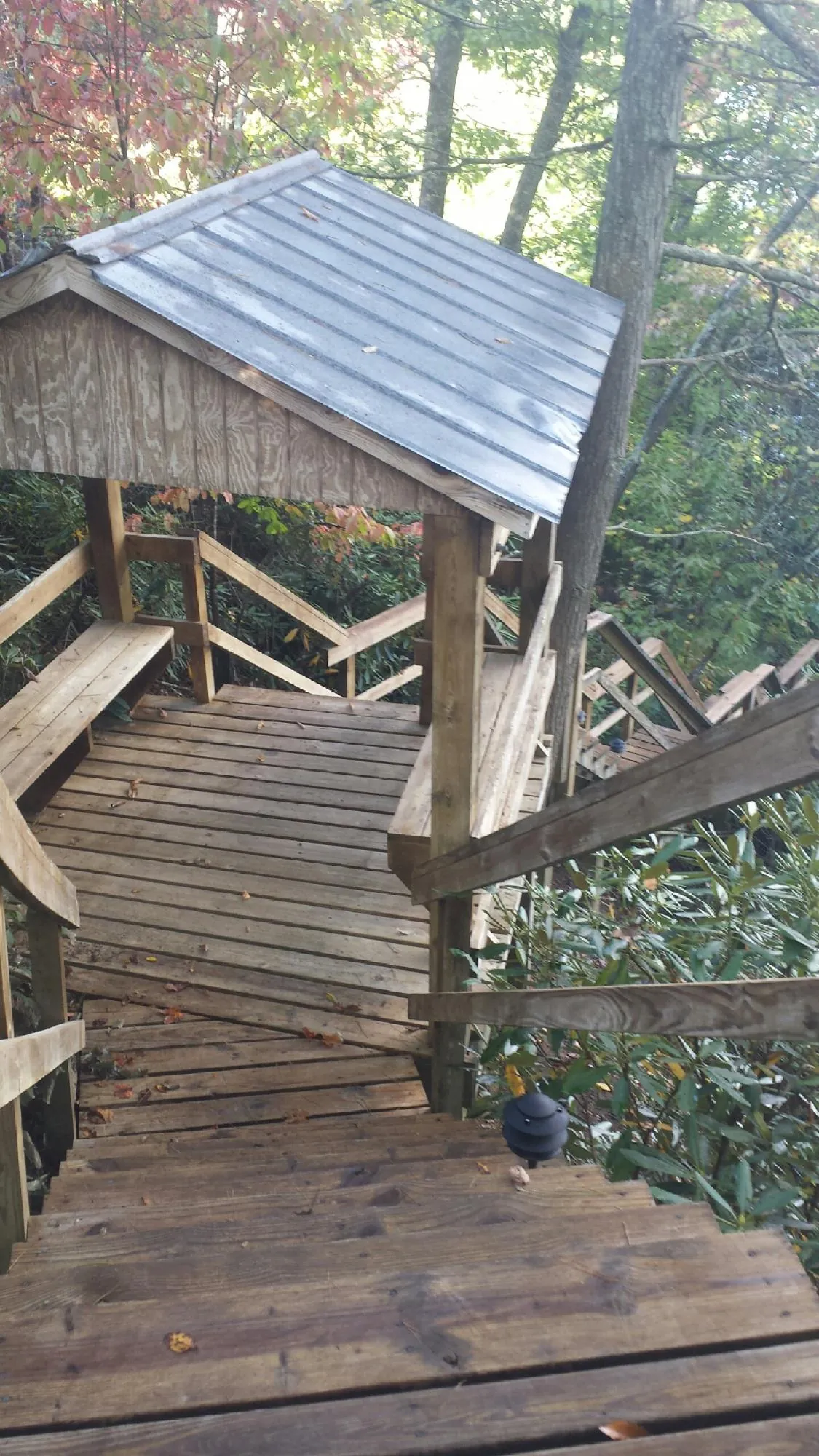 Metal roofed shelter over wooden steps on a wooded walkway — Skylight Repair & Installation work by our crew in Horse Cave